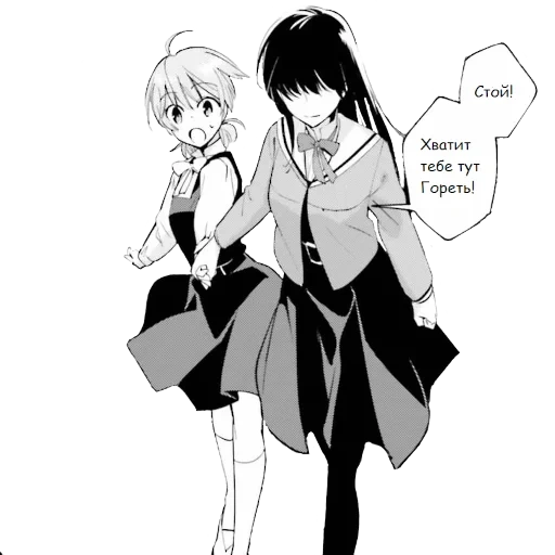 manga, yuri munga, cómics de pareja de animación, manga popular, eventualmente seré tu yagate kimi ni naru