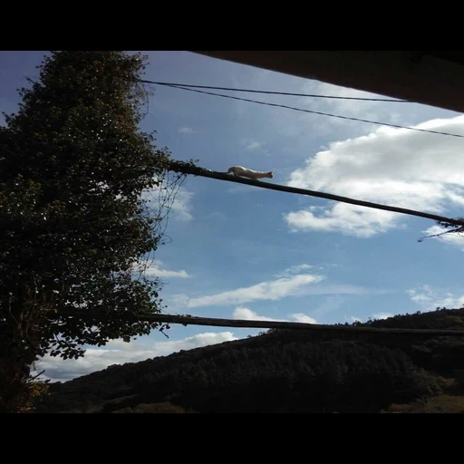 céu, natureza, trevas, o céu é montanhas, atirando em novochermashansk