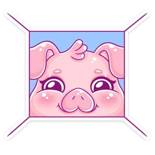 porco, piggy, pige pig, porco timosha, timosha pig