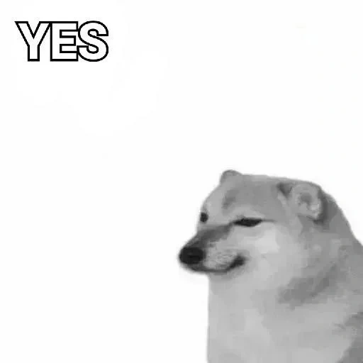 dog meme, chimes dog, bunker meme dog, shiba dog, memes of singing dogs