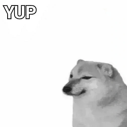 doge, cão, cão chems, fãs bunker por causa de cães, o meme do cachorro cantando