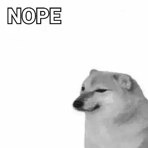 doge, cane, meme del cane, dori medogo, bunker cane meme