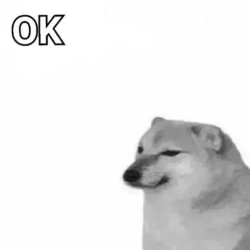 camera, dog meme, shiba inu meme, bunker meme dog, memes of singing dogs