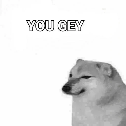 un meme, doge, cane, cane di chelms, bunker cane meme