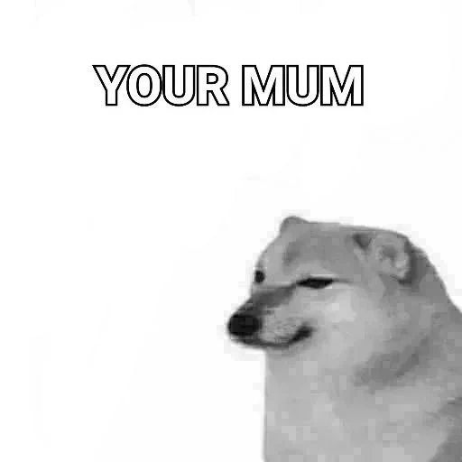 meme, doge, funny, chimes dog, bunker meme dog