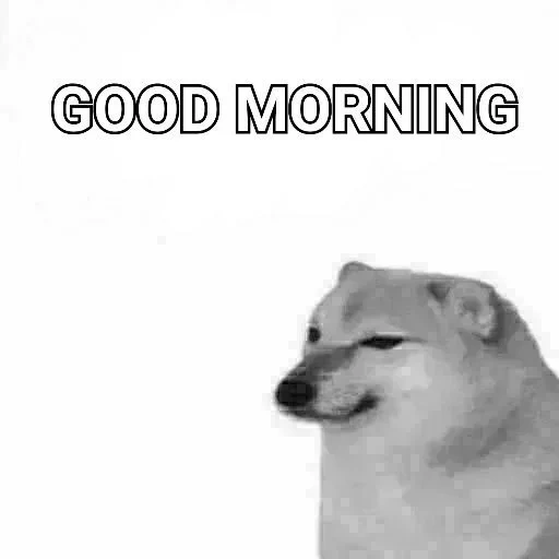 doge, perro, doge meme, molde de perro, perro chai