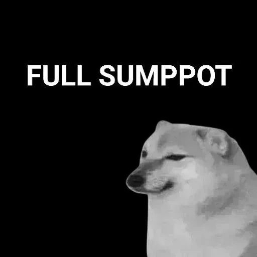 doge, chiens, cheems doge, mème chai dog, simms dog meme