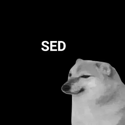 doge, cane, cane meme, cheems doge, sims dog meme