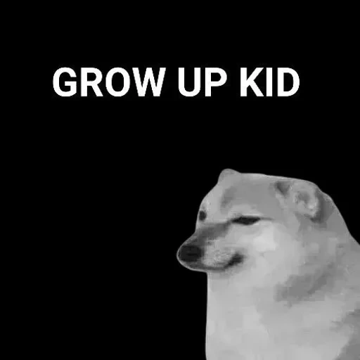 doge, cane, cane meme, chai dog meme, cane triste