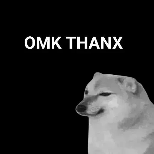 un meme, doge, cane, chai dog meme, cane triste