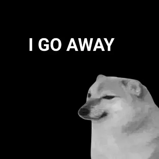 un meme, doge, cane meme, cane triste, sims dog meme