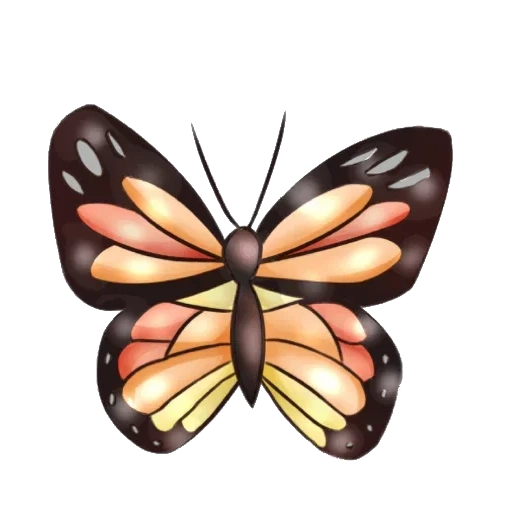 бабочка, бабочка монарх, бабочка бабочка, бабочка мультяшная, бабочка иллюстрация