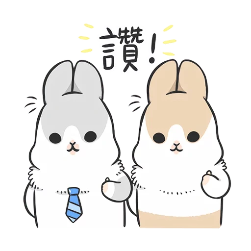 rabbit machiko, rabbit de machiko, coelhos brancos, rabbit machiko