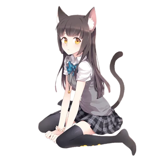 dia médico, gato, animação neko, gato anime, animação nozida