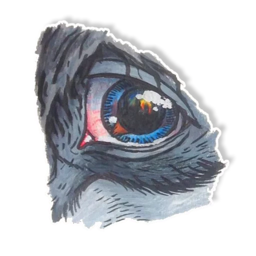 ojo, el ojo del caballo, ojo de águila, los ojos de los animales, visión de ojos de águila