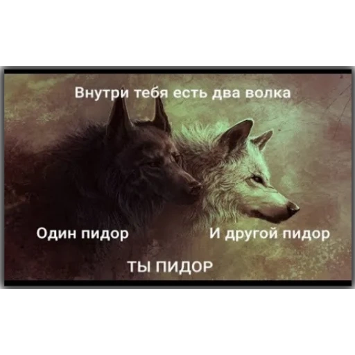 lobo, lobo de tv, lobo de arte, lobo, lobo negro