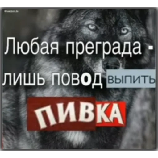 broma, el lobo estaba sonriendo, citas de volka, lobos negros, el lobo es solo