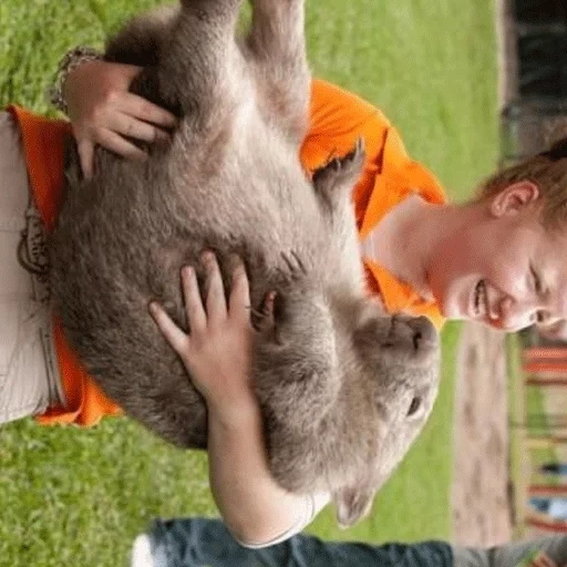 manusia, anak laki-laki, anak laki laki kanguru, hewan kanguru, wombat animal australia
