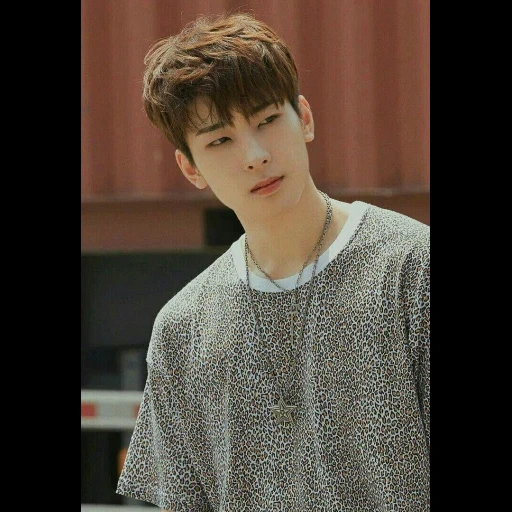 asiático, rayo drama, manna one sonu, seventeen wonwoo, actor coreano