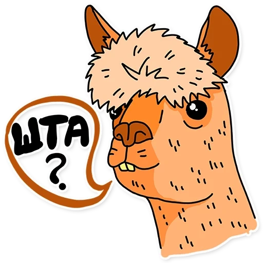 find, funny, alpaca