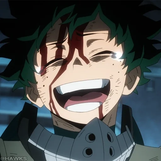 midoria, midoriya, hero academia, izuku midoriya, minha academia heróica