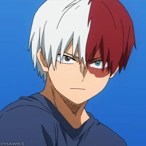 todoroki, rattan on the host tree, todoroki shoto, todoroki screen, todoroki screenshot