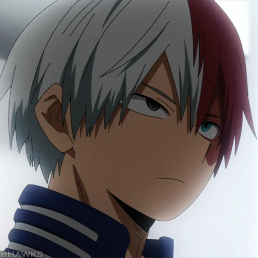 todoroki, todoroki shoto, personnages d'anime, todoroki saison 1, académie héroïque de todoroki