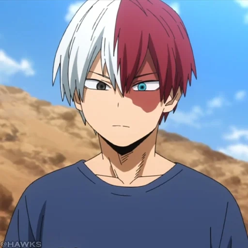 personnages d'anime, todoroki shouto, écran de shouto todoroki, shoto todoroki masochist, mon académie héroïque