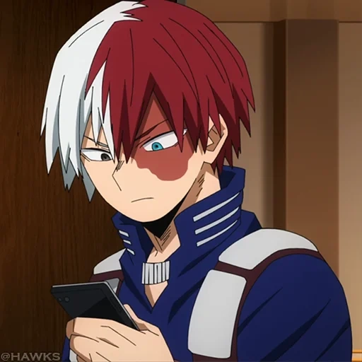 todoroki, akiichi hosto, foto todoroki, i personaggi degli anime, fudoromu heroes academy