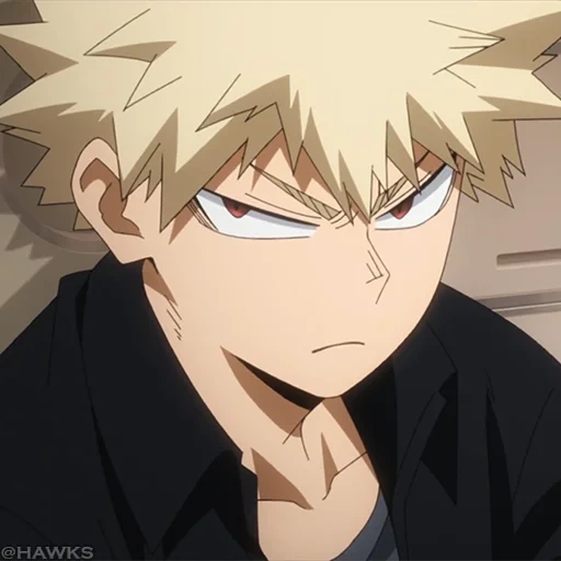 bakugo, bakugo, bakugou, katsuki hachi, katsuki bakugou