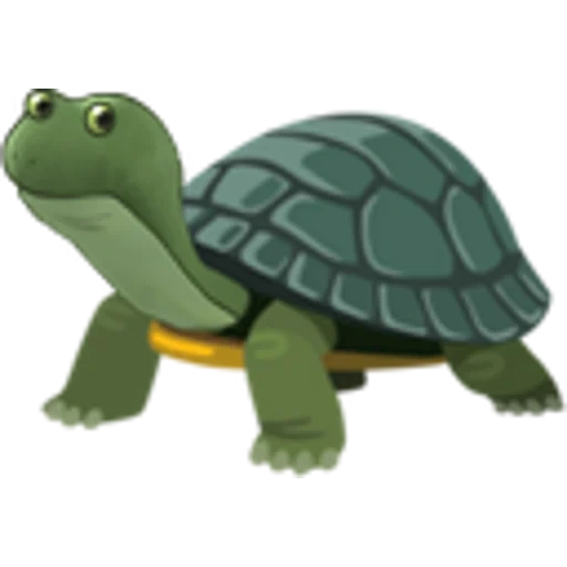 turtle 2d, turtle 2d, expression du dos de la tortue, tortue souriante, expression turtle iphone