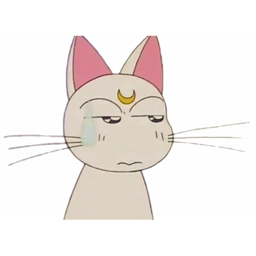 сейлормун кошка, sailor moon cat, сейлормун кот артемис, артемис кот сейлормун, сейлормун кот мордочка
