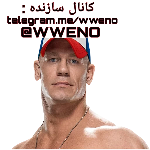 le mâle, john cena, nez john cena, john sina face, john sina torsos