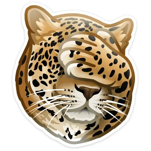 der leopard, rund mit leopardenmuster, der zentralasiatische leopard, der leopard bedeckt die schnauze mit seinen krallen