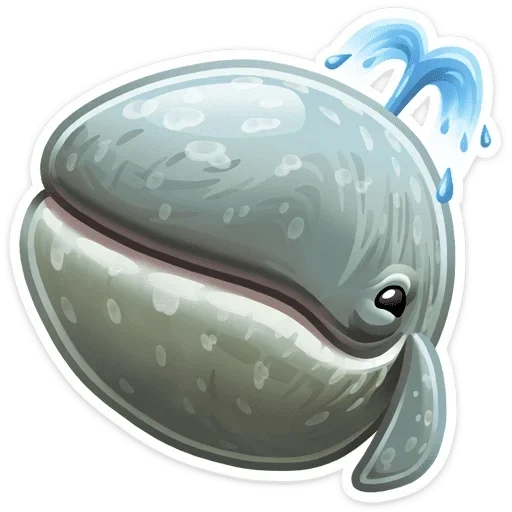 la balena, faccino di balena sorridente, espressione di balena, whale senza sfondo