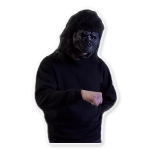 tecnico pasha, maschera di gorilla, pasha tecnico musk, maschera tecnica pasha gorilla