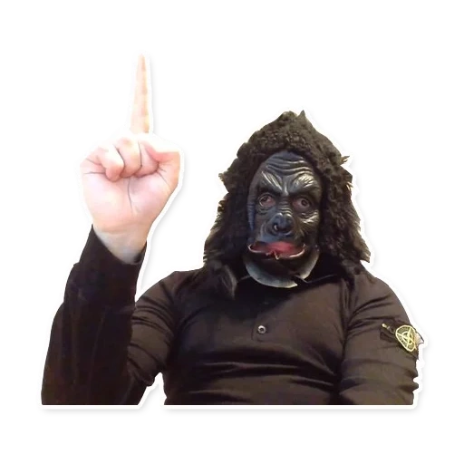 bambino, tecnico pasha, pasha tecnico musk, tecnico pasha quinténier, maschera tecnica pasha gorilla