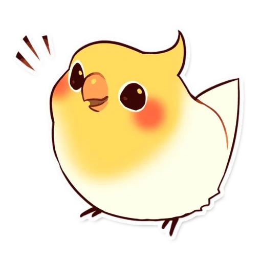 uccelli, uccello, cari uccelli, corella parrot, disegni di kawaii carini