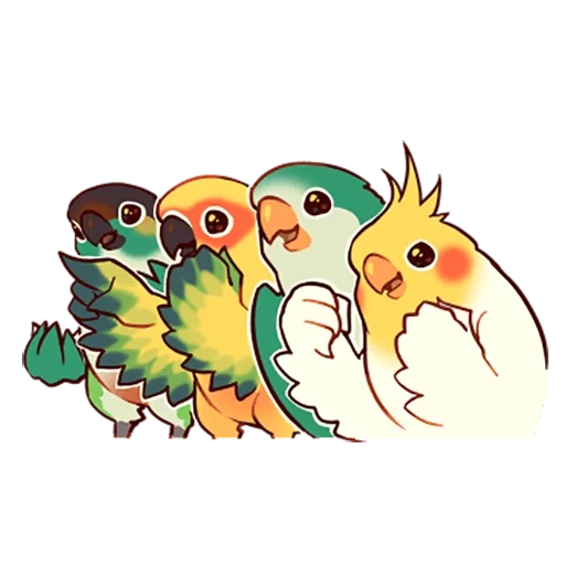 birds, lovely parrots, parling sticker, animal drawings are cute