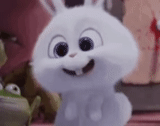 bola de nieve de conejo, vida secreta del conejo mascota, rabbit snow ball secret life home 2, vida secreta de la mascota bola de nieve, vida secreta de bola de nieve de conejo mascota