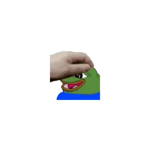 pepe, happy pepe, pethepeepo, pepe is stroked, pepe frog pat