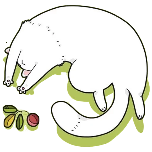 котик, cat white, белая кошка