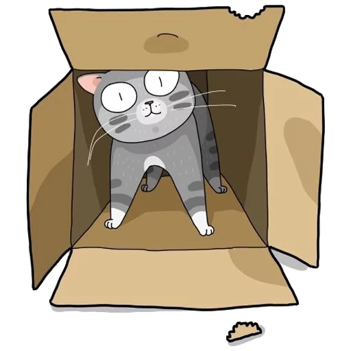 moore meow, boîte de chat comique, motif de boîte de chat, cat box cartoon