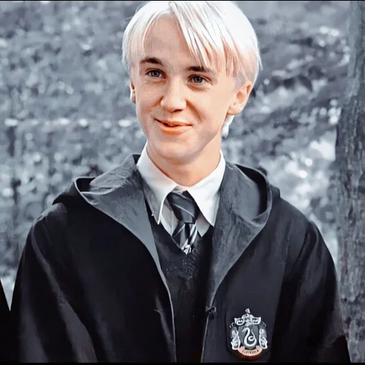 draco malfoy, harry potter, malfoy harry potter, draco malfoy tom felton, halipot drako malfo