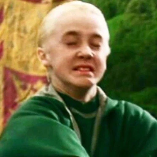 draco malfoy, malfoy small, hali porte drako, draco malfoy tom felton, halipot drako malfo