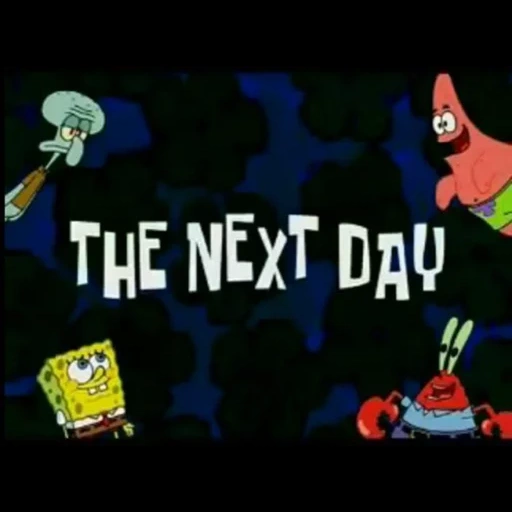 sponge bean, spongebob time, spongebob square, spongebob square pants, the next day spongebob