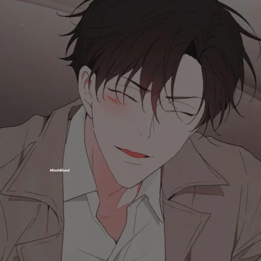 caricatures, manhua, manhuamanga, anime de manhua, jumin han webtoon