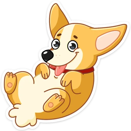 corgie cane, corgi pembrock, illustrazione di corgi, velsh korgi pembrock, disegno del cane corgie