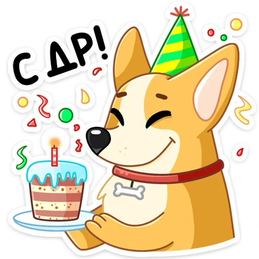 yami, fox, yami, corgi, congratulatory