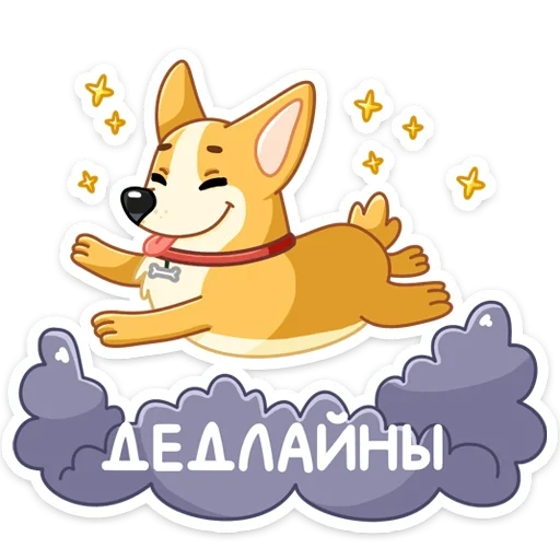 yami, fuchs, corgi, watsap corgi